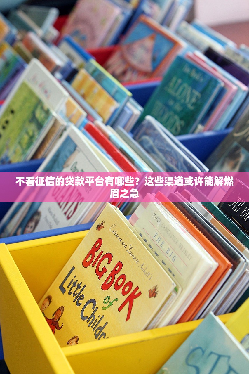 不看征信的贷款平台有哪些？这些渠道或许能解燃眉之急