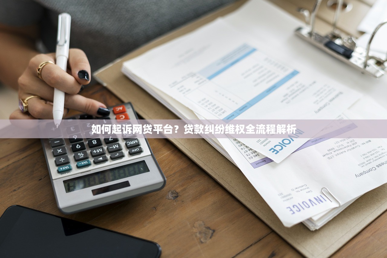 如何起诉网贷平台？贷款纠纷维权全流程解析