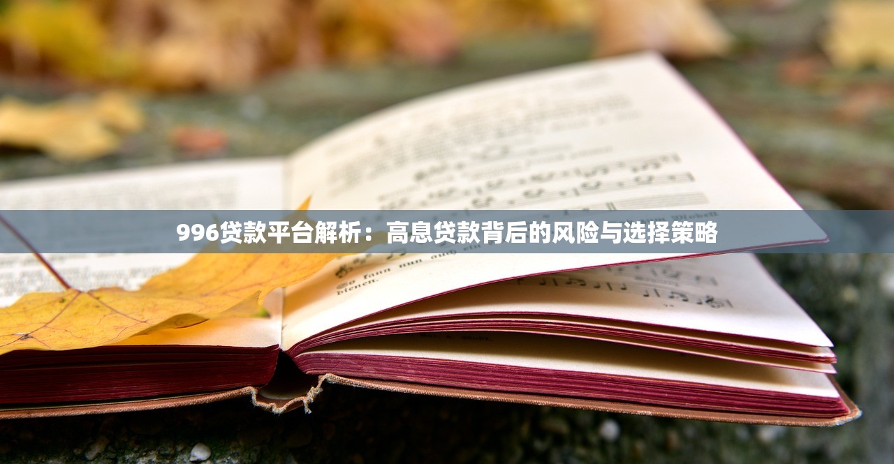 996贷款平台解析:高息贷款背后的风险与选择策略 996贷款平台解析:高息贷款背后的风险与选择策略