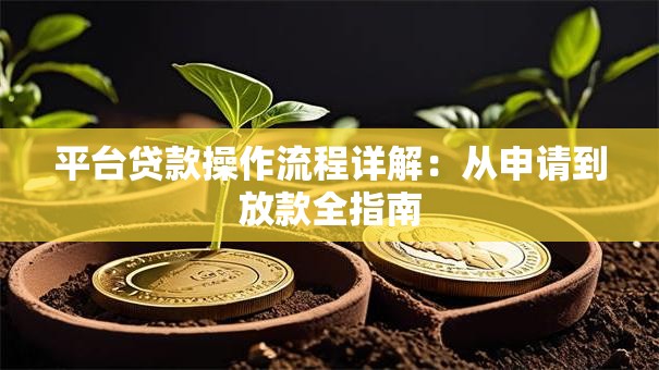 平台贷款操作流程详解：从申请到放款全指南