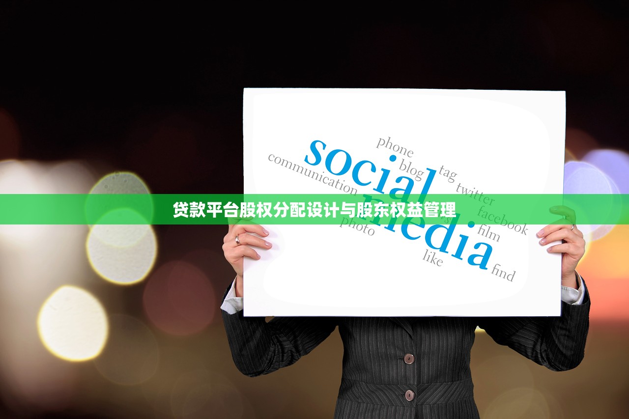 贷款平台股权分配设计与股东权益管理