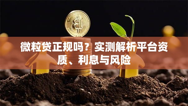 微粒贷正规吗？实测解析平台资质、利息与风险