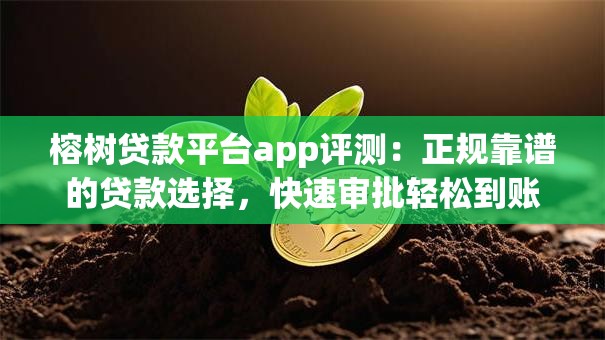 榕树贷款平台app评测：正规靠谱的贷款选择，快速审批轻松到账