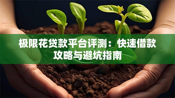 极限花贷款平台评测：快速借款攻略与避坑指南