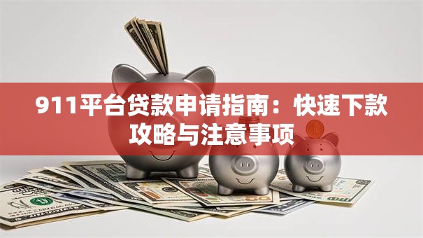 911平台贷款申请指南：快速下款攻略与注意事项