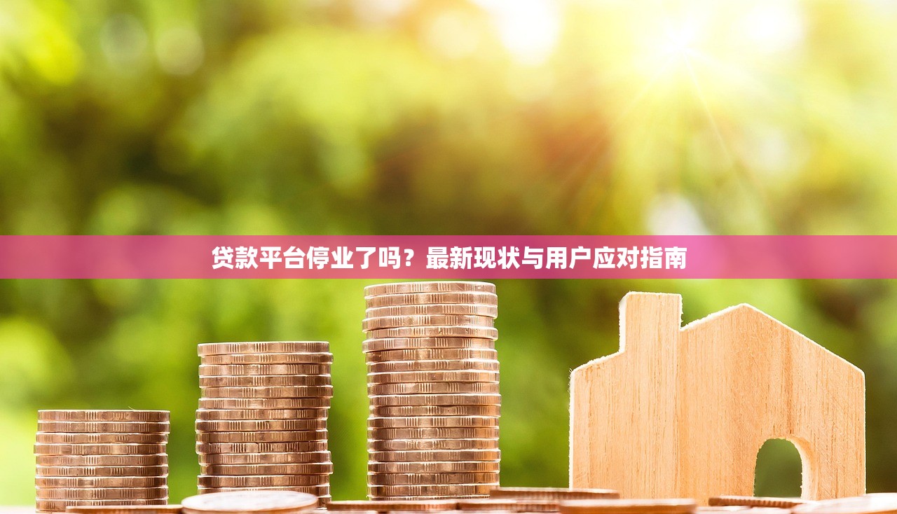 贷款平台停业了吗？最新现状与用户应对指南