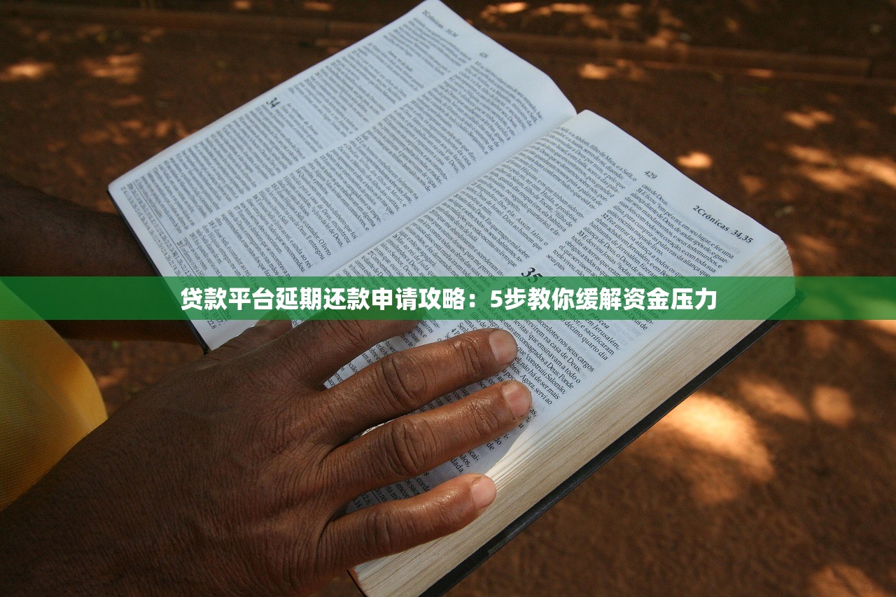 贷款平台延期还款申请攻略：5步教你缓解资金压力