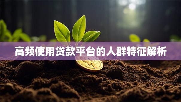 高频使用贷款平台的人群特征解析