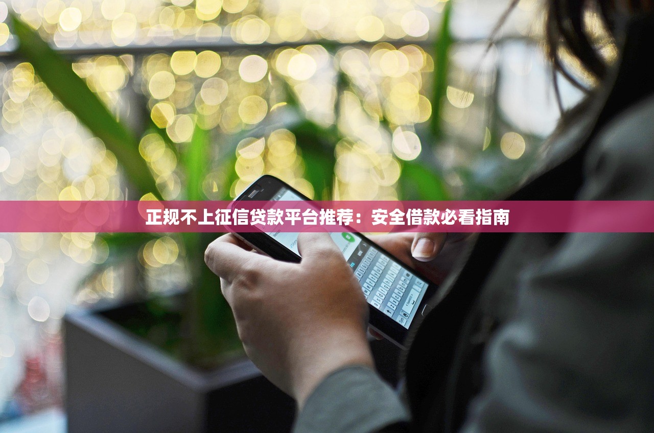 正规不上征信贷款平台推荐：安全借款必看指南
