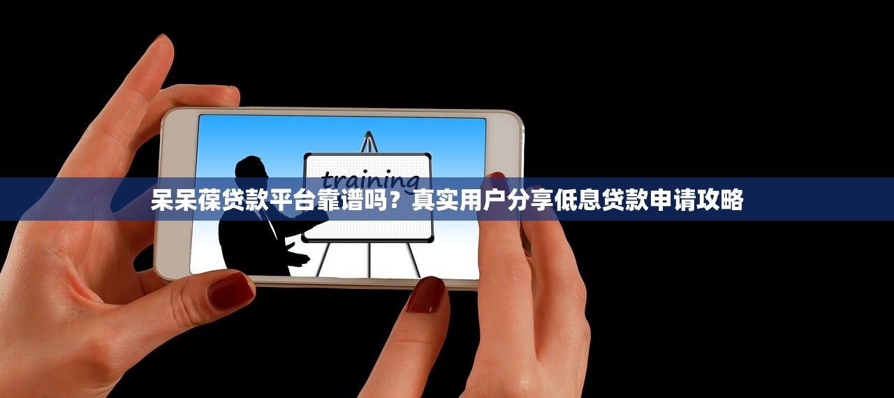 呆呆葆贷款平台靠谱吗？真实用户分享低息贷款申请攻略