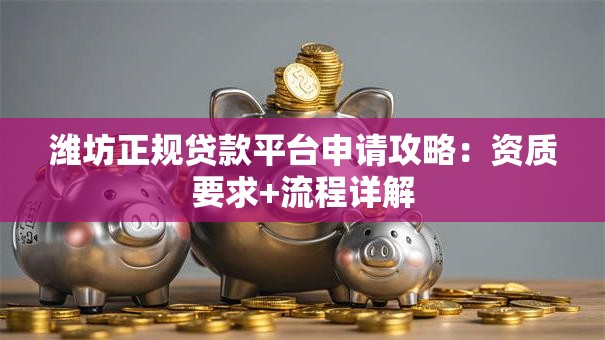潍坊正规贷款平台申请攻略：资质要求+流程详解