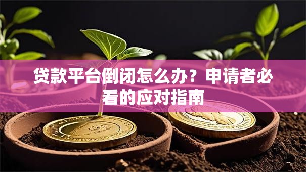 贷款平台倒闭怎么办?申请者必看的应对指南 贷款平台倒闭怎么办?申请者必看的应对指南