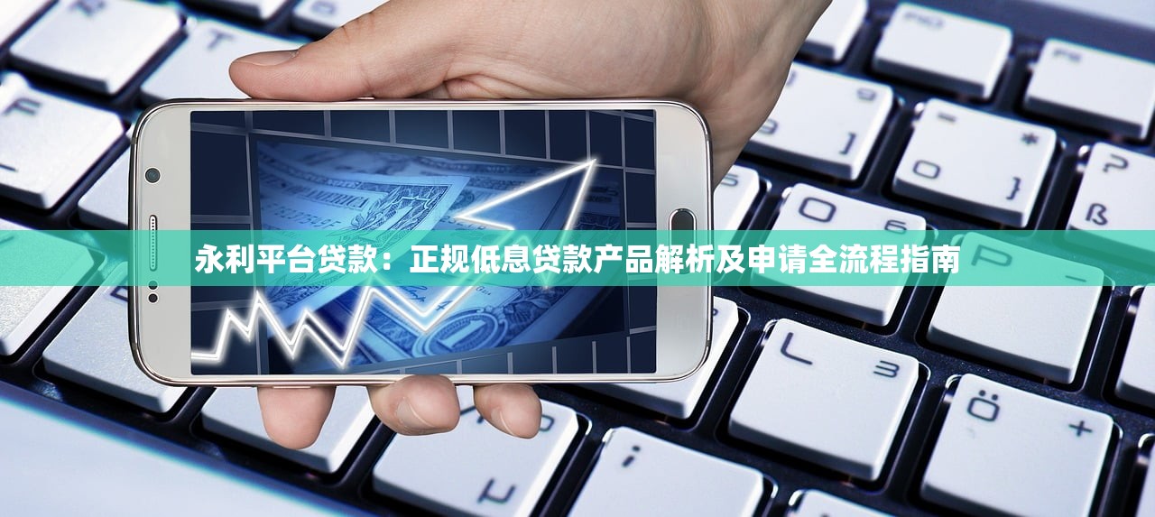 永利平台贷款：正规低息贷款产品解析及申请全流程指南