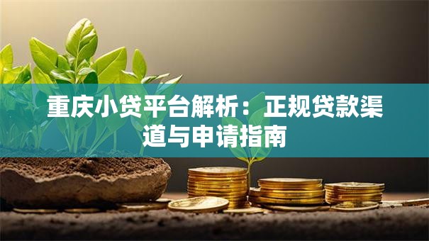 重庆小贷平台解析：正规贷款渠道与申请指南