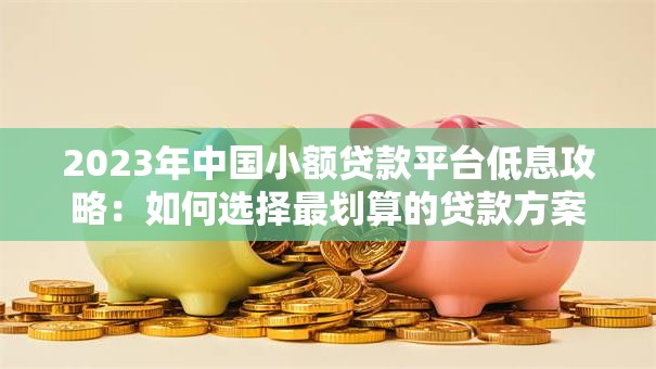 2023年中国小额贷款平台低息攻略：如何选择最划算的贷款方案