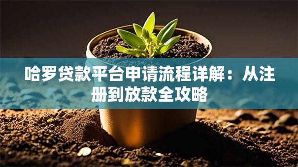 哈罗贷款平台申请流程详解：从注册到放款全攻略