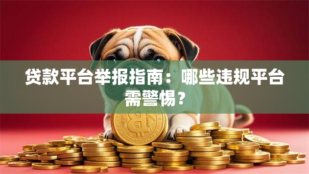 贷款平台举报指南：哪些违规平台需警惕？