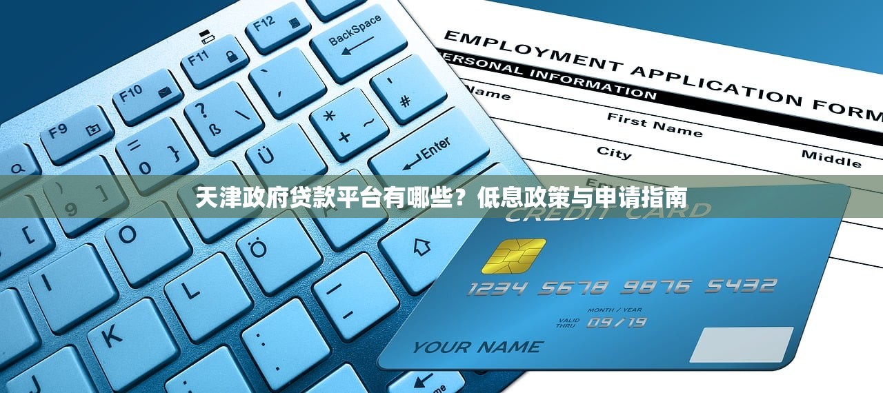 天津政府贷款平台有哪些？低息政策与申请指南
