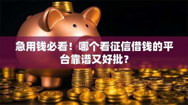 急用钱必看！哪个看征信借钱的平台靠谱又好批？
