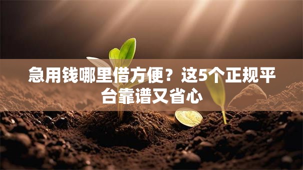 急用钱哪里借方便？这5个正规平台靠谱又省心