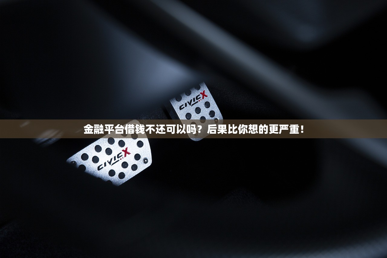 金融平台借钱不还可以吗？后果比你想的更严重！