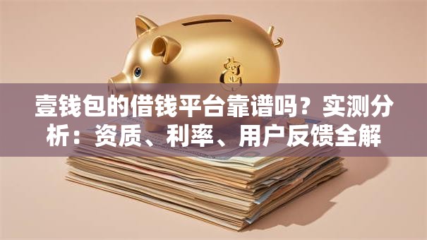 壹钱包的借钱平台靠谱吗？实测分析：资质、利率、用户反馈全解读