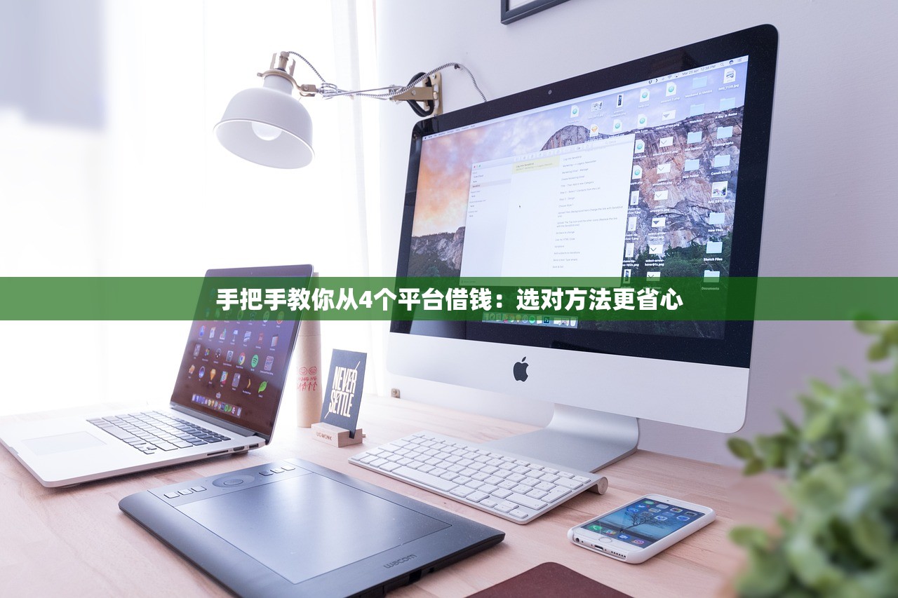 手把手教你从4个平台借钱：选对方法更省心