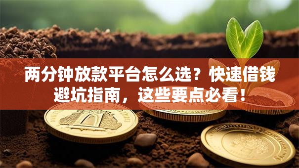 两分钟放款平台怎么选？快速借钱避坑指南，这些要点必看！