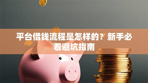 平台借钱流程是怎样的?新手必看避坑指南 平台借钱流程是怎样的?新手必看避坑指南