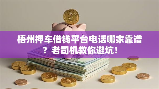 梧州押车借钱平台电话哪家靠谱？老司机教你避坑！