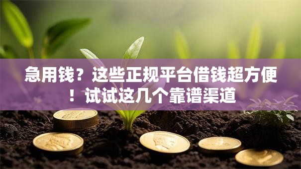 急用钱？这些正规平台借钱超方便！试试这几个靠谱渠道