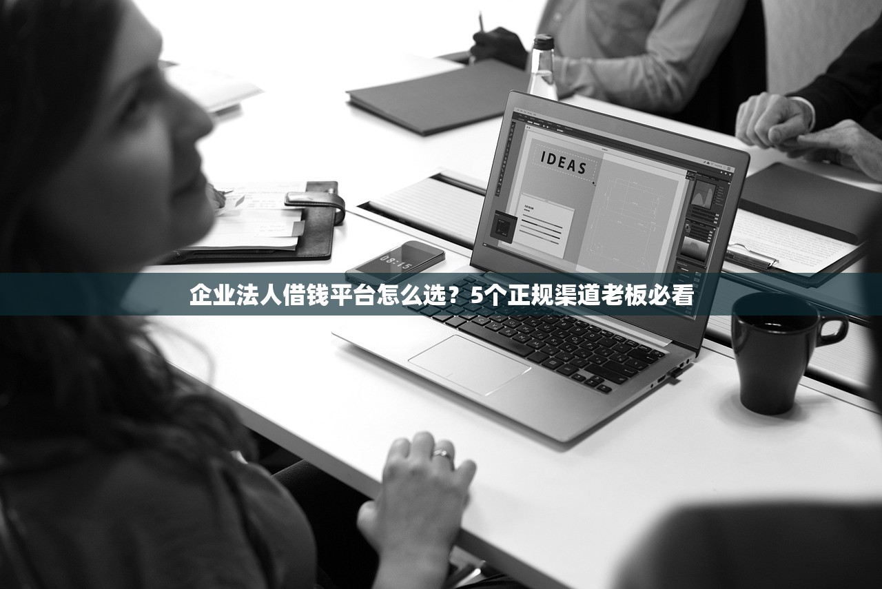 企业法人借钱平台怎么选？5个正规渠道老板必看
