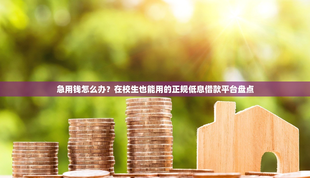 急用钱怎么办？在校生也能用的正规低息借款平台盘点