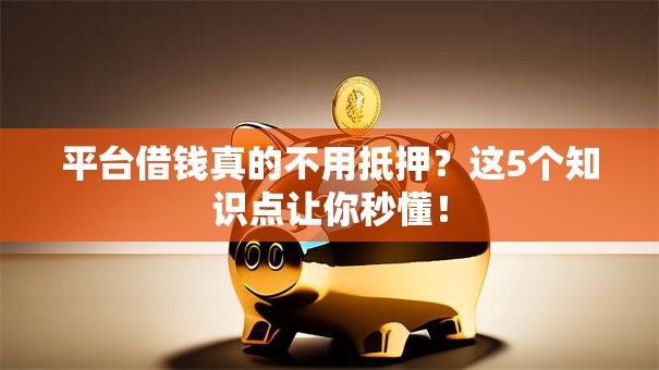 平台借钱真的不用抵押?这5个知识点让你秒懂! 平台借钱真的不用抵押?这5个知识点让你秒懂!