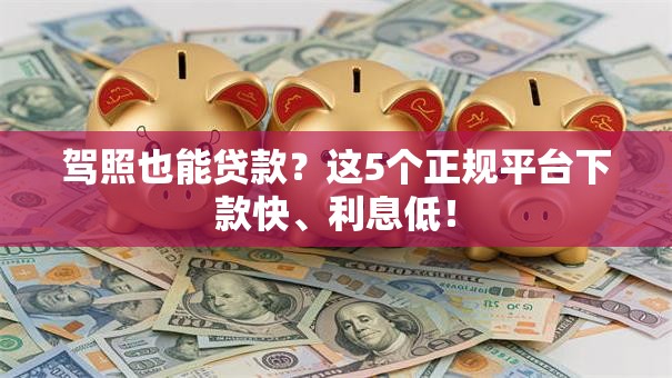 驾照也能贷款?这5个正规平台下款快、利息低! 驾照也能贷款?这5个正规平台下款快、利息低!