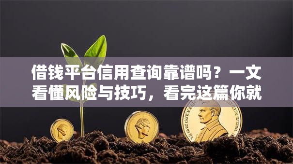 借钱平台信用查询靠谱吗？一文看懂风险与技巧，看完这篇你就懂了！