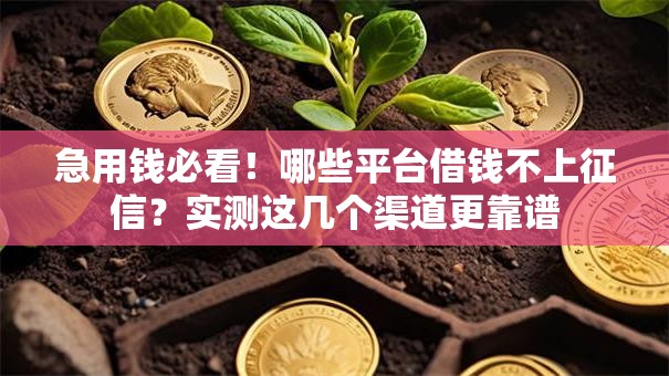 急用钱必看！哪些平台借钱不上征信？实测这几个渠道更靠谱