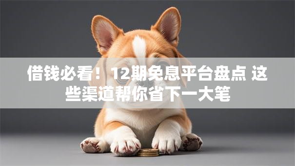 借钱必看！12期免息平台盘点 这些渠道帮你省下一大笔