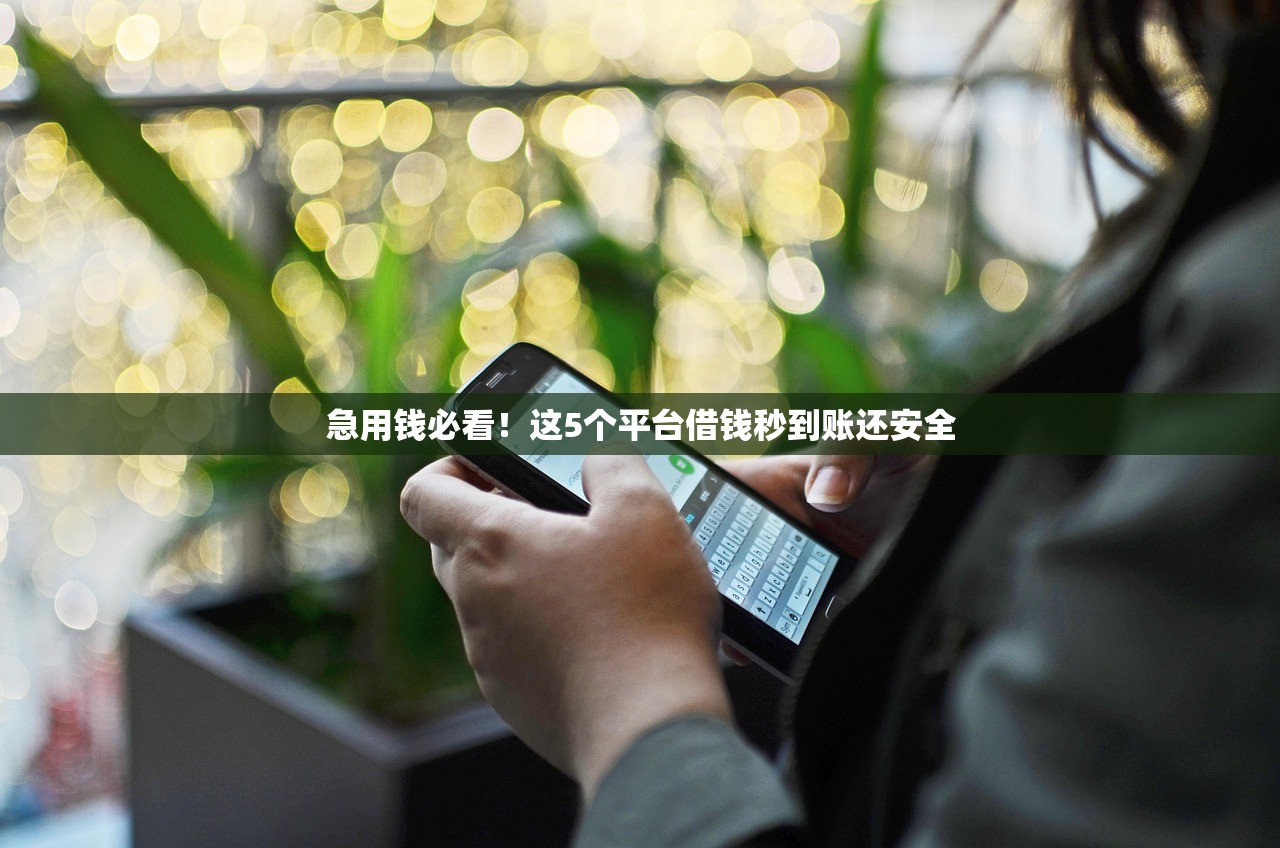 急用钱必看！这5个平台借钱秒到账还安全