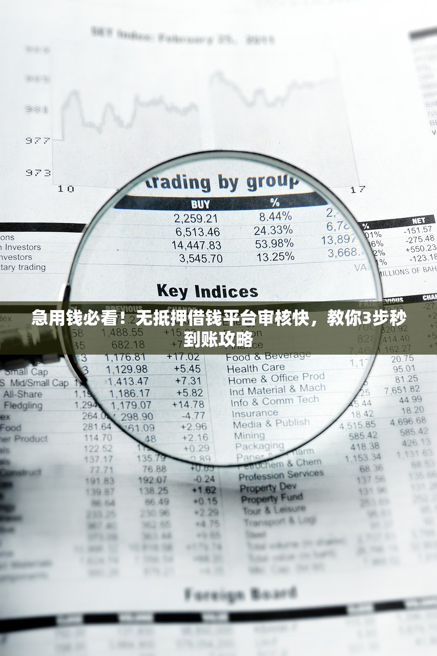 急用钱必看!无抵押借钱平台审核快,教你3步秒到账攻略 急用钱必看!无抵押借钱平台审核快,教你3步秒到账攻略