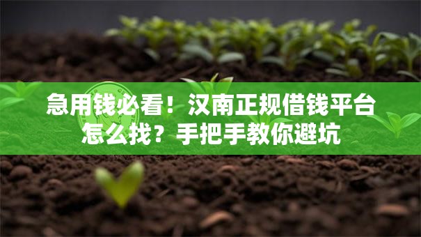 急用钱必看!汉南正规借钱平台怎么找?手把手教你避坑 急用钱必看!汉南正规借钱平台怎么找?手把手教你避坑