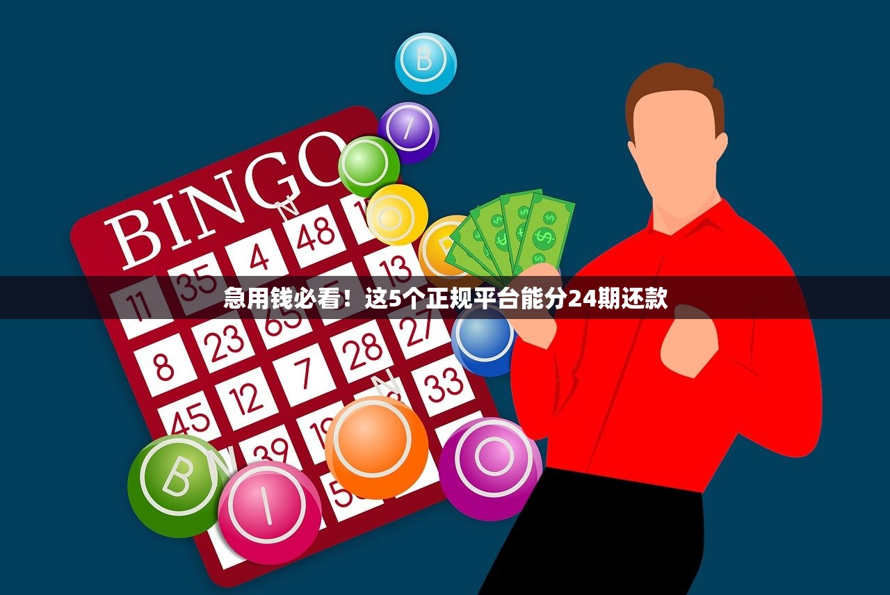 急用钱必看！这5个正规平台能分24期还款