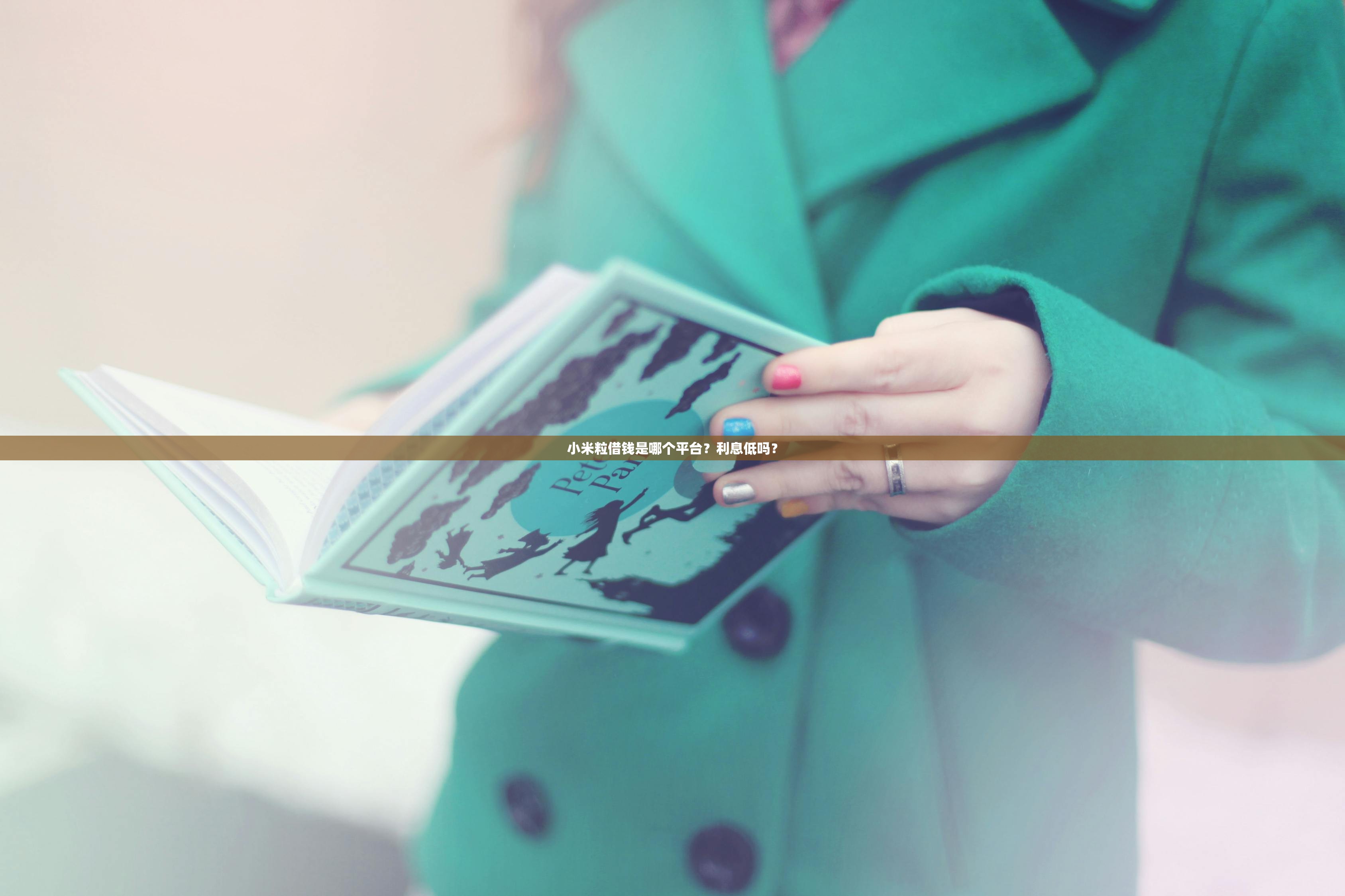 小米粒借钱是哪个平台？利息低吗？
