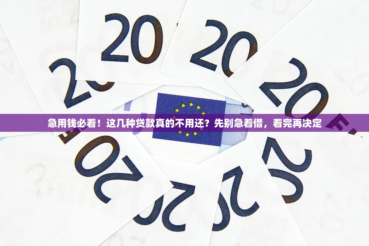 急用钱必看!这几种贷款真的不用还?先别急着借,看完再决定 急用钱必看!这几种贷款真的不用还?先别急着借,看完再决定