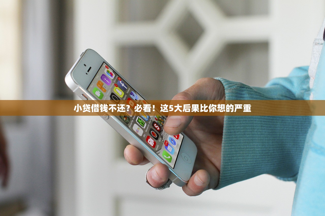 小贷借钱不还?必看!这5大后果比你想的严重 小贷借钱不还?必看!这5大后果比你想的严重