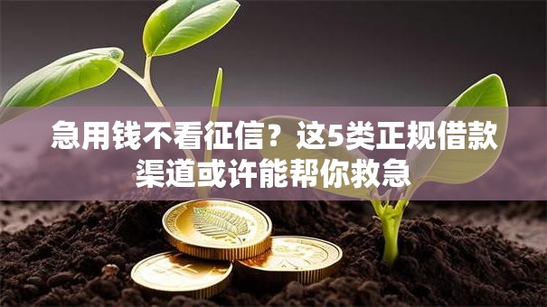急用钱不看征信？这5类正规借款渠道或许能帮你救急