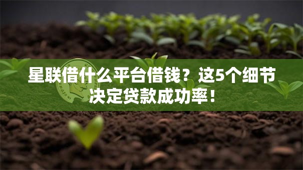 星联借什么平台借钱？这5个细节决定贷款成功率！