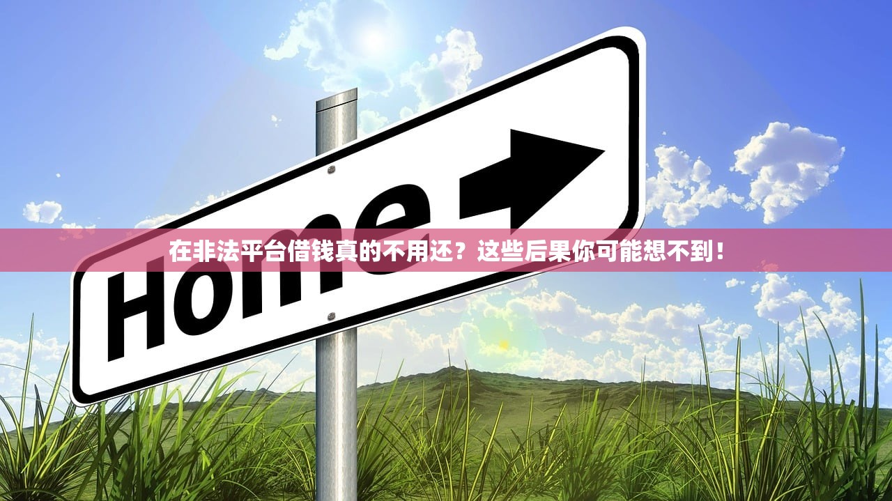 在非法平台借钱真的不用还？这些后果你可能想不到！