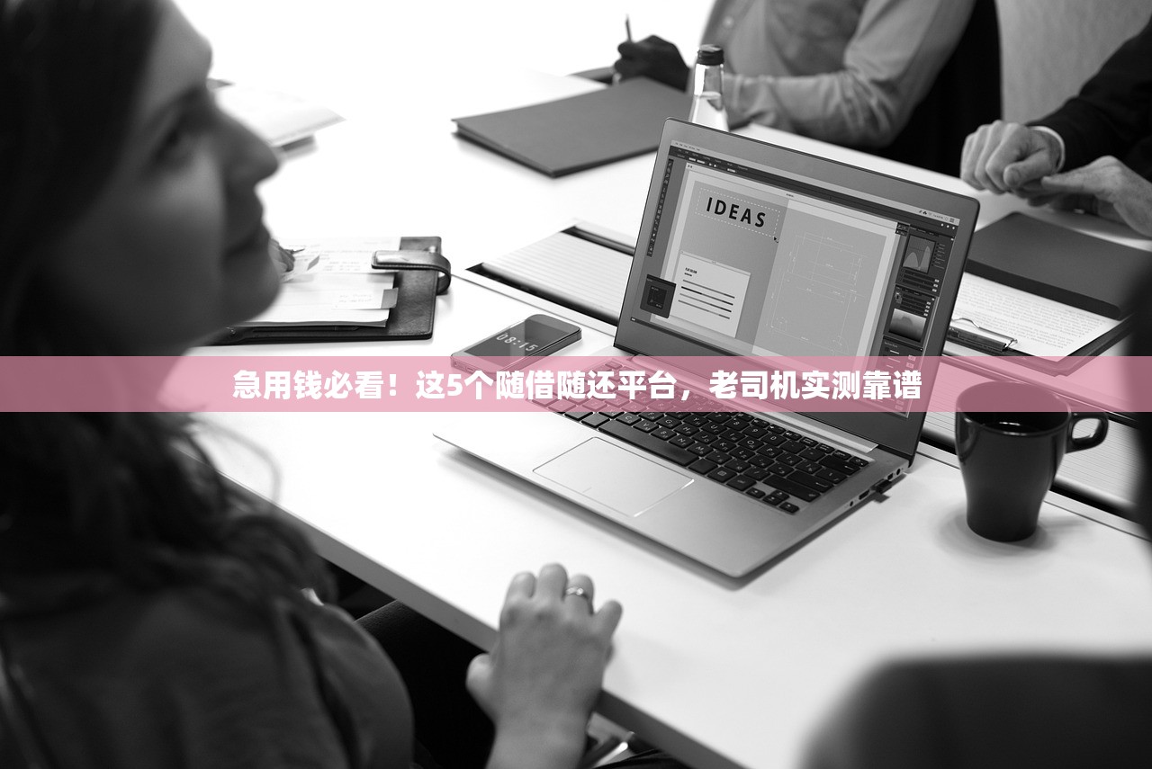 急用钱必看！这5个随借随还平台，老司机实测靠谱