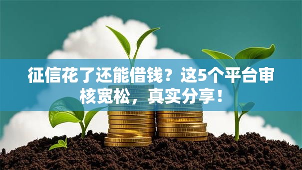 征信花了还能借钱？这5个平台审核宽松，真实分享！